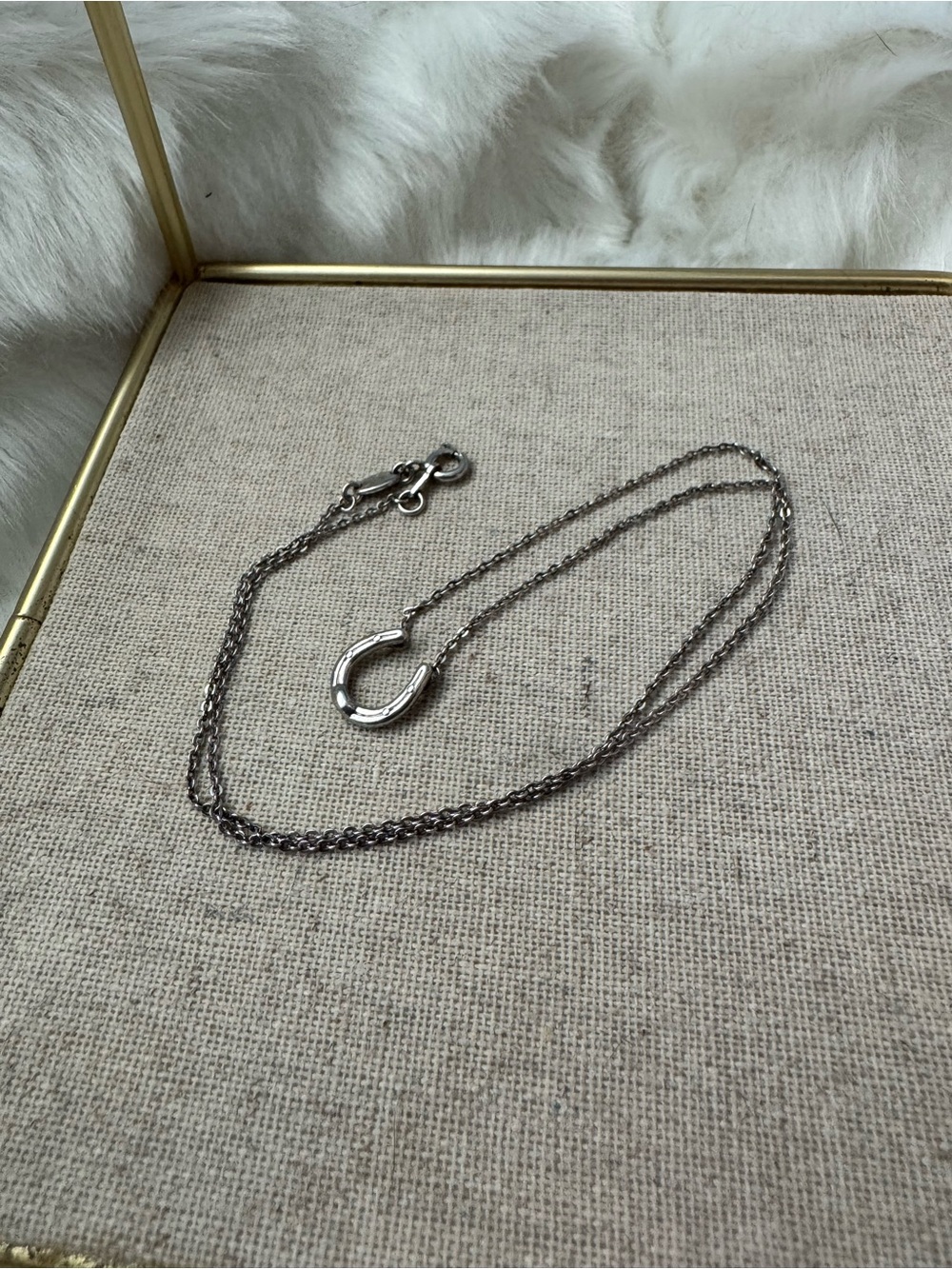 Fossil Silver Horseshoe Pendant Necklace